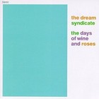 Cover: The Dream Syndicate - The Days of Wine & Roses (1983)