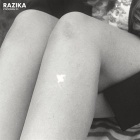 Cover: Razika - Program 91 (2011)