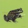 Cover: Willard Grant Conspiracy & Telefunk - In the Fishtank 8 (2001)