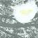 Cover: Comets On Fire - Field Recordings From the Sun (2002)