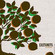 Cover: Castanets - Cathedral (2004)