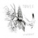 Cover: Tønes - Vindbrest (2015)