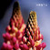 Cover: Hrsta - Ghosts Will Come and Kiss Our Eyes (2007)