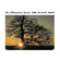 Cover: The Mountain Goats - The Sunset Tree (2005)