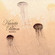 Cover: Mike Patton & Kaada - Romances (2004)