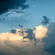 Cover: The Tallest Man on Earth - Shallow Graves  (2008)