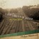 Cover: Robyn Hitchcock - I Often Dream of Trains in New York (2009)