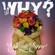 Cover: Why? - Eskimo Snow (2009)