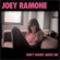 Cover: Joey Ramone - Don't Worry About Me (2002)