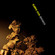 Cover: Bjørn Svin - Browen (2010)