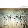 Cover: Rivulets - Thank You Reykjavik (2002)
