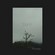 Cover: Wayne Hussey - Bare (2009)
