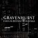 Cover: Gravenhurst - Fires in Distant Buildings (2005)