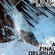 Cover: The Silent Section - A Final Delirium (2009)