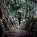 Cover: Diverse artister - Living Bridge (2008)