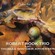 Cover: Robert Rook Trio - Hymn for Fall (2006)