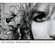 Cover: Lucinda Williams - Little Honey (2008)
