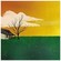 Cover: John Vanderslice - Pixel Revolt (2005)