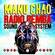 Cover: Manu Chao - Radio Bemba Sound System (live) (2002)