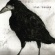 Cover: Pelle Ossler - Stas (2013)