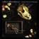 Cover: William Elliott Whitmore - Hymns For the Hopeless (2003)