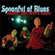 Cover: Spoonful of Blues - Chasin' That Devil's Music (2004)
