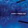 Cover: Alice In Videoland - Maiden Voyage (2004)