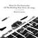Cover: Marina Lazzara - Wind on the Firecracker of the Building Next Door (2004)