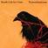 Cover: Death Cab for Cutie - Transatlanticism (2003)
