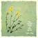Cover: Virginia Astley - From Gardens Where We Feel Secure (1983)
