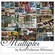 Cover: Keith Fullerton Whitman - Multiples (2005)