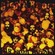 Cover: Siena Root - Far From the Sun (2008)