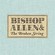 Cover: Bishop Allen - The Broken String (2007)