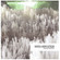 Cover: Shearwater - Palo Santo (2006)
