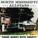 Cover: North Mississippi Allstars - Shake Hands With Shorty (2000)