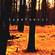 Cover: SandForest - SandForest (2002)