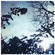 Cover: Pillow - Flowing Seasons (2006)