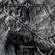 Cover: VidnaObmana - Tremor (2001)