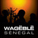 Cover: Wagëblë - Sénégal (2005)