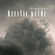 Cover: The Mountain Goats - Heretic Pride (2008)