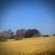 Cover: Sun Kil Moon - Benji (2014)