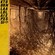 Cover: A Silver Mt. Zion - Kollaps Tradixionales (2010)