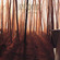 Cover: Anekdoten - A Time of Day (2007)
