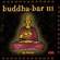 Cover: Diverse artister - Buddha-bar III (2002)