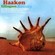 Cover: Haakon - Bounty (2005)