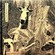 Cover: The Once and Future Herds - Lion-Colored Hills (2005)