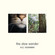Cover: A.C. Newman - The Slow Wonder (2004)