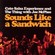 Cover: Cato Salsa Experience & The Thing & Joe McPhee - Sounds Like a Sandwich (2005)