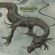 Cover: Weedeater - Jason... The Dragon (2011)