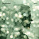 Cover: Benoît Pioulard - Précis (2006)